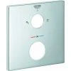 Grohe Rosette 49102 Eckig Für Thermostat-Fertigmontagesets Chrom 1 Grohe Rosette 49102 Eckig Für Thermostat-Fertigmontagesets Chrom -GROHE SHOP 36276778 1