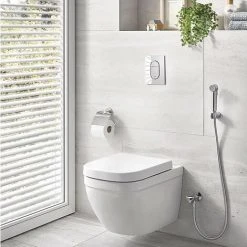 Grohe Euro Keramik Wand-Tiefspül-WC Alpinweiß Ohne